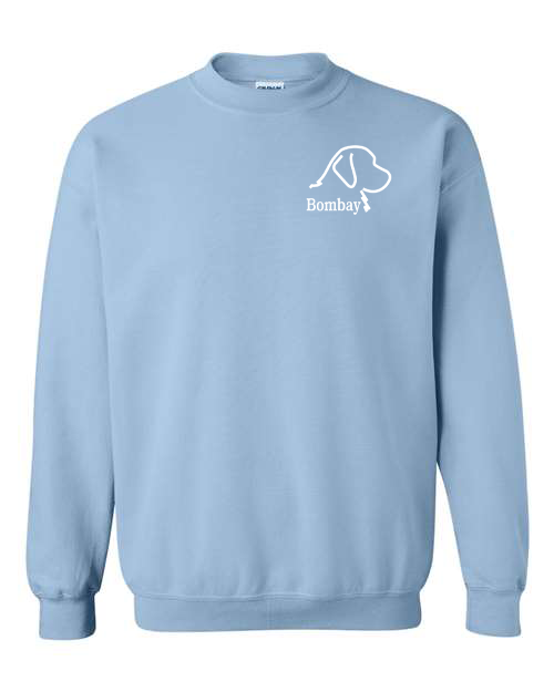 Light Blue Sweatshirt