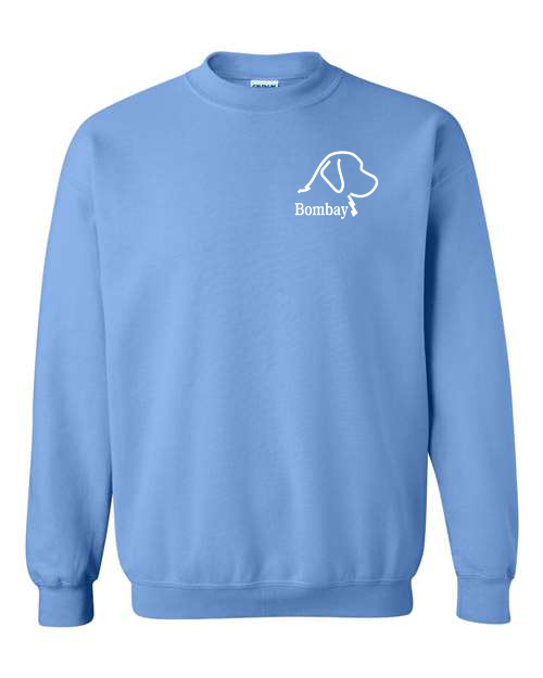 Carolina Blue Sweatshirt