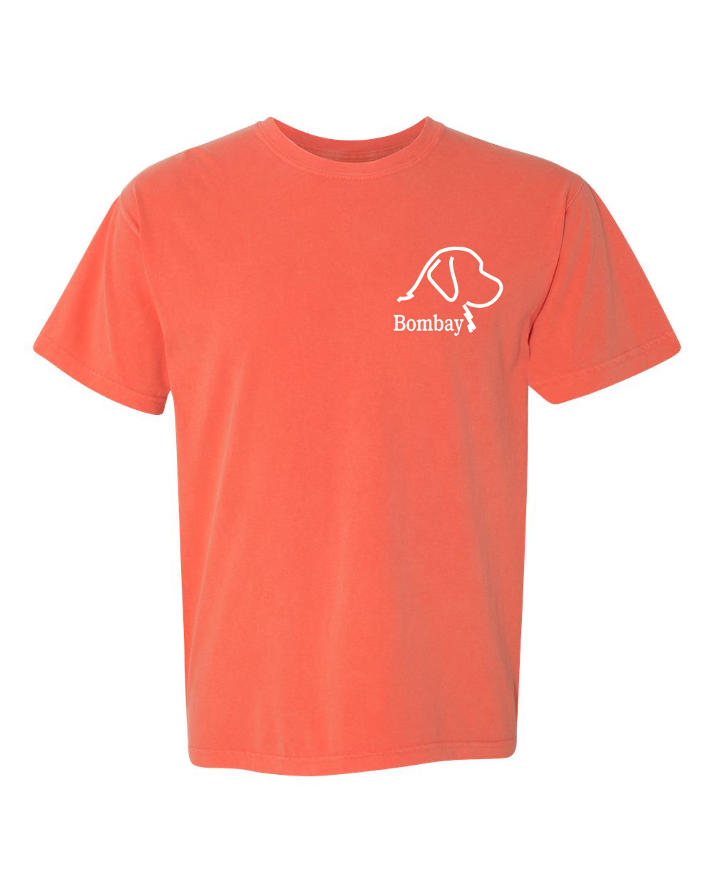 Bright Salmon Comfort Color Short Sleeve