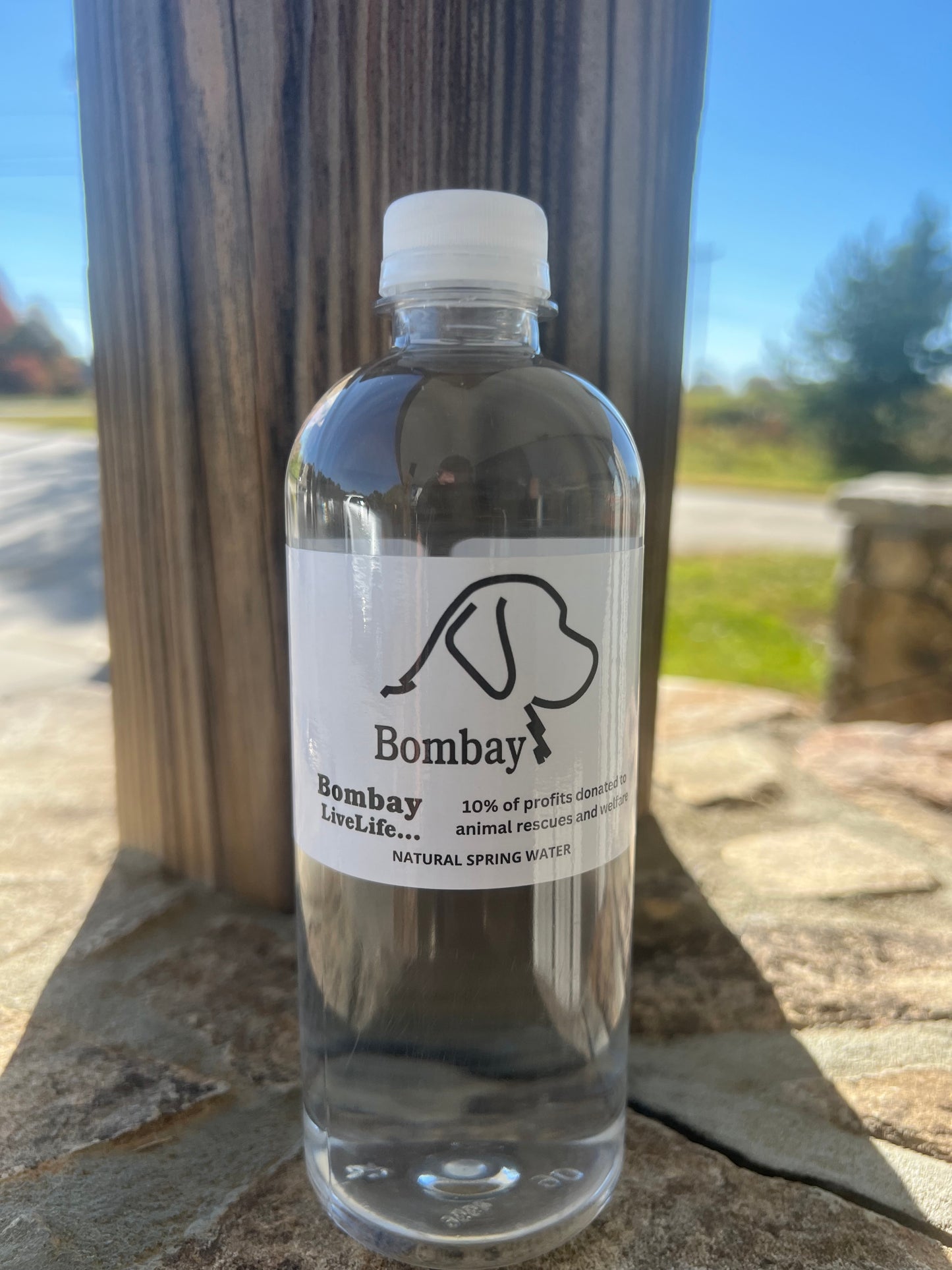 Bombay Bottled Water - 20oz Natural Spring Water