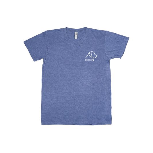 Shale Blue Heather V-Neck