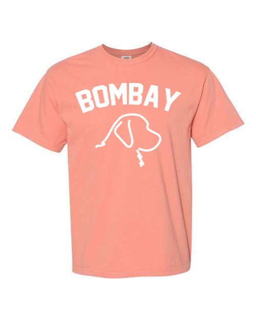 Terracotta Bombay Vintage Tee